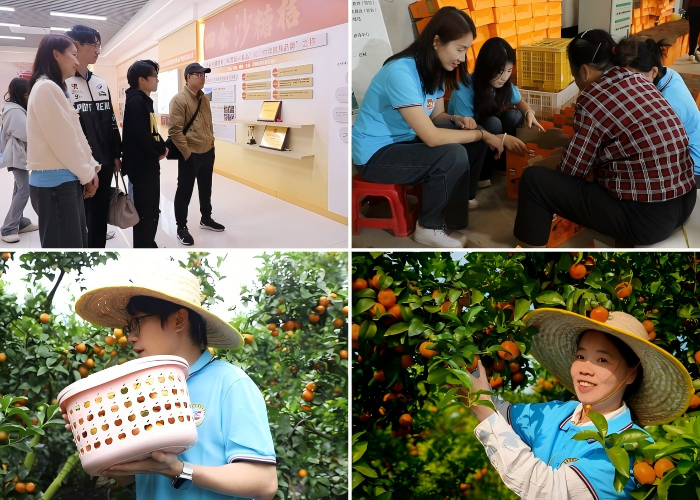 WPS拼图0.png WPS拼图0.png