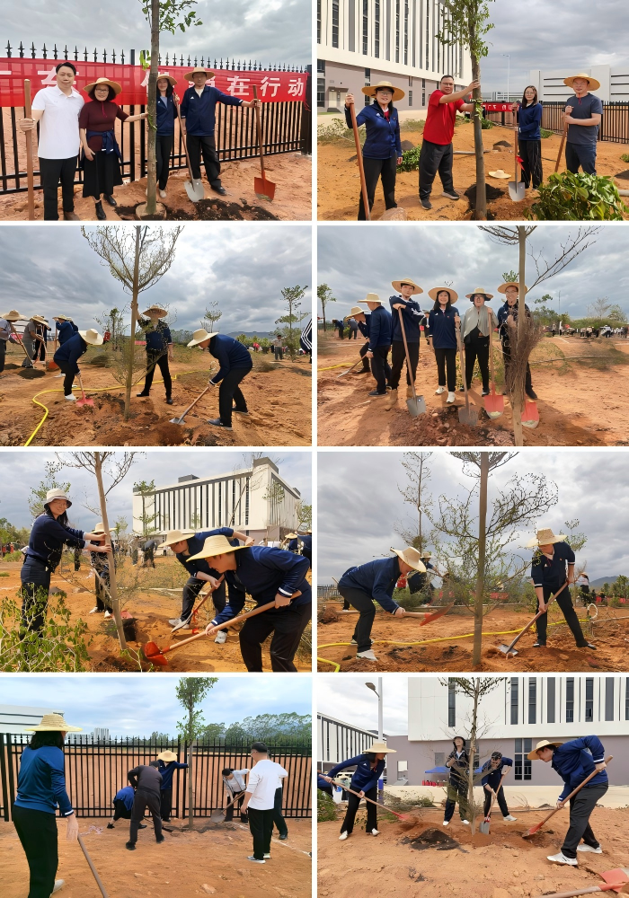 WPS拼图0.png WPS拼图0.png